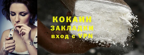 дживик Ладушкин