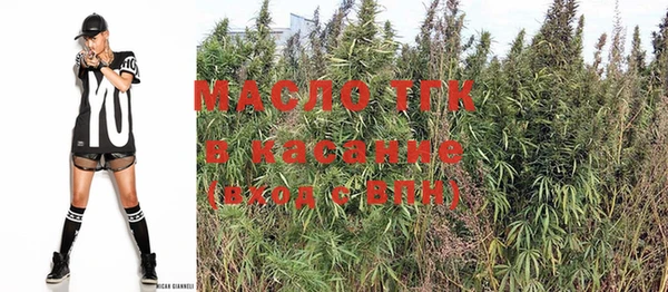 хмурый Магас