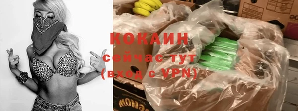 хмурый Магас