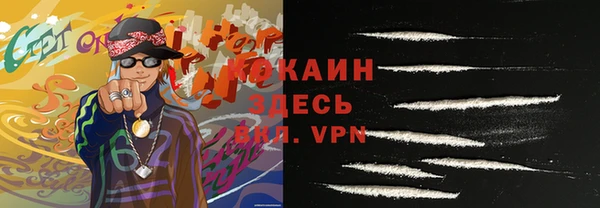 хмурый Магас
