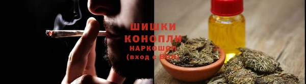 хмурый Магас