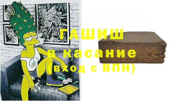 хмурый Магас