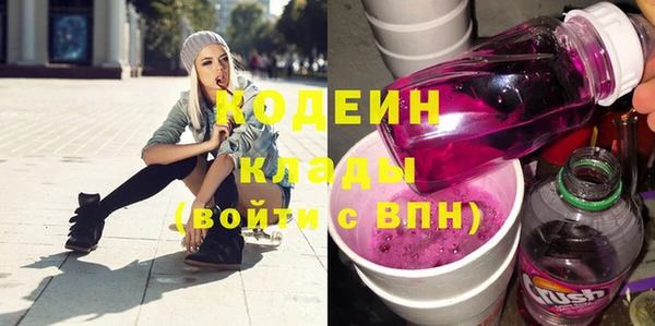 хмурый Магас