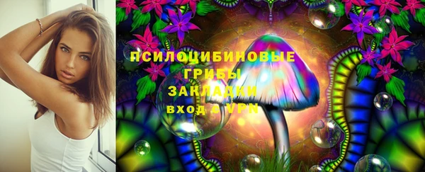 хмурый Магас
