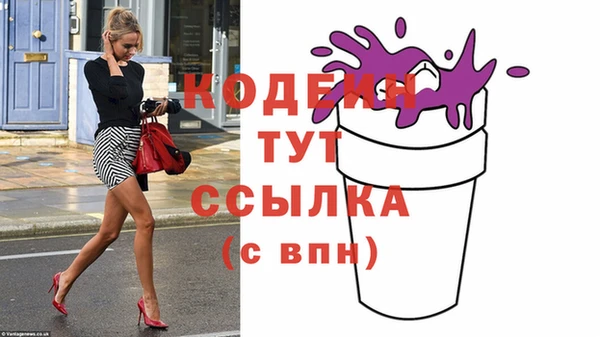 хмурый Магас