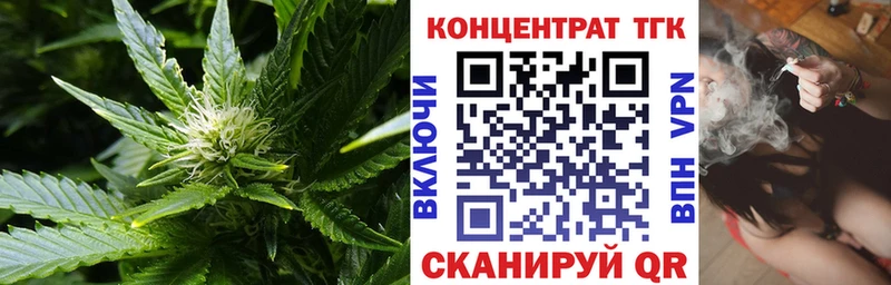 ТГК Wax  Шали 