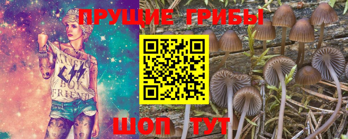 магазин продажи наркотиков  Вход с VPN  Шали  Галлюциногенные грибы Psilocybe 