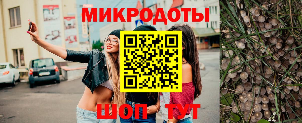 хочу наркоту  Галлюциногенные грибы MAGIC MUSHROOMS  Шали  Псилоцибиновые грибы Psilocybine cubensis 