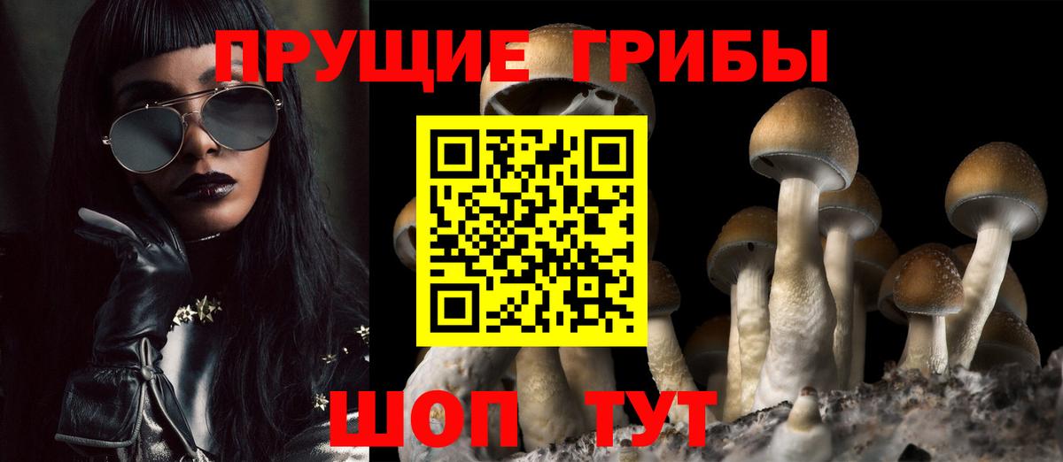 Псилоцибиновые грибы прущие грибы Шали